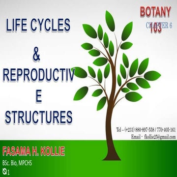 LIFE CYCLE AND REPRODUCTIVE STRUCTURES