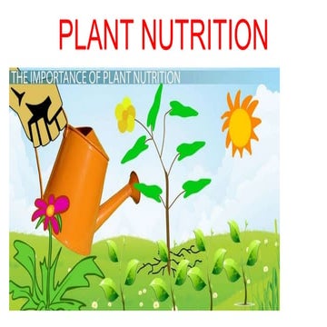 plant nutrition