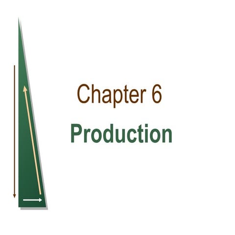 Chapter 6  production