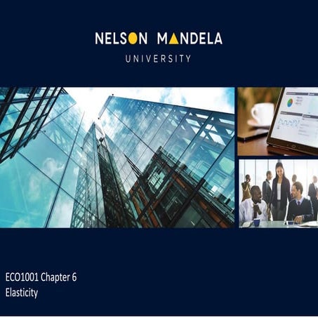 Chapter 6 Elasticity.pdf