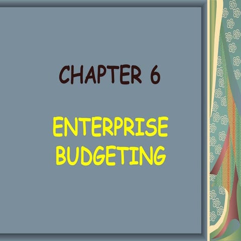 Chapter 6(enterprise budgeting)