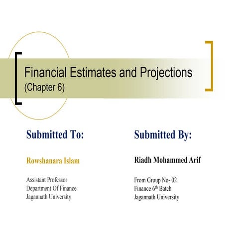 Financial Estimates and Projections