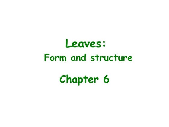 Leaf structure | PPTX