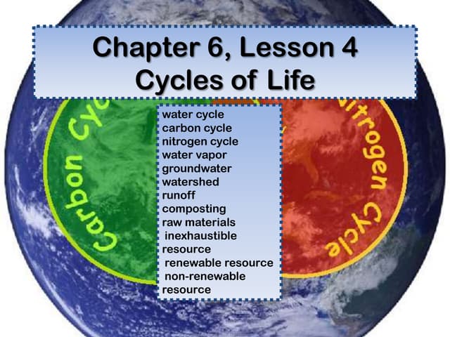 Chapter 6, Lesson 4 - Ecosystems