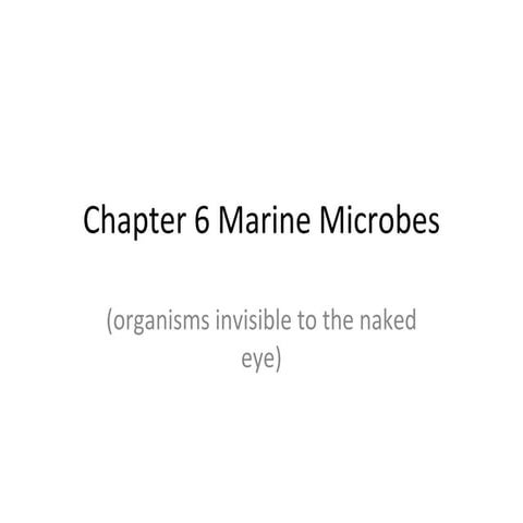Chapter 6 marine microbes