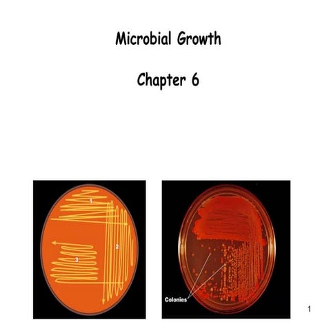 Chapter 6 microbial growth partial