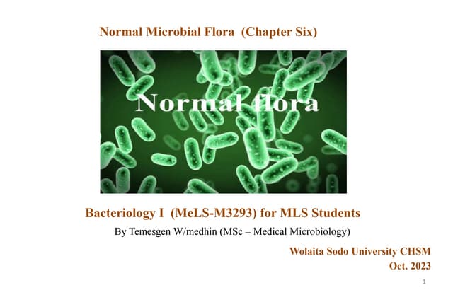 Chapter 6 Normal flora.pptx bacteriology 1 | PPT
