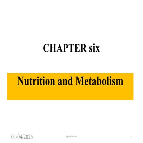 ppt for nurses chapter 6 nutrition & metabolism.pptx