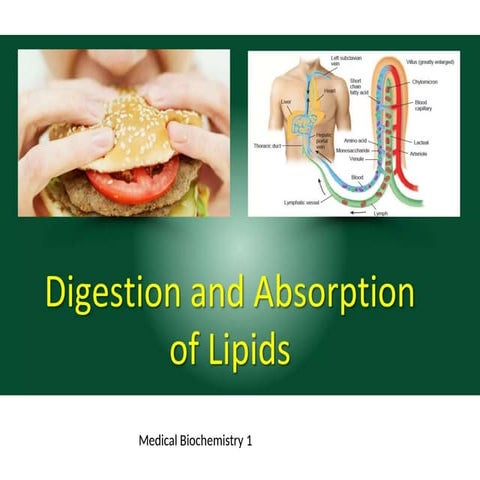 Chapter 6 part 2 Digestion of lipids.pptx
