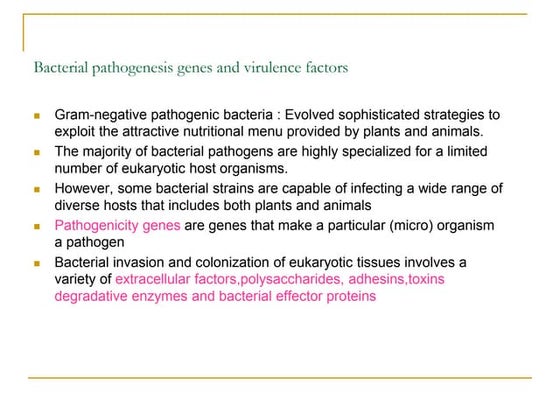 HITESH Pathogenicity and Virulence Factors of Phytobacteria.pptx
