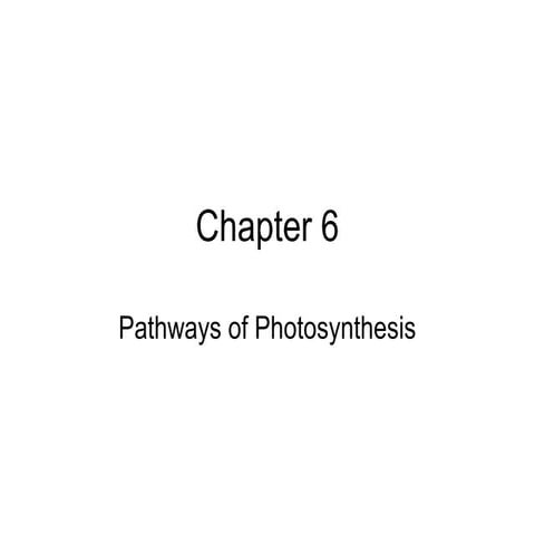 Chapter6powerpoint 120910023303-phpapp02
