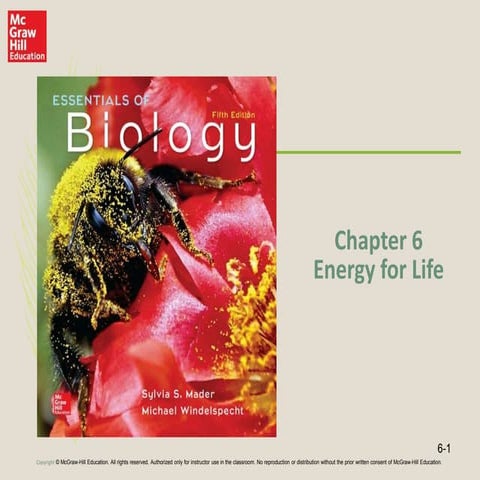 Chapter 6 Energy for Life