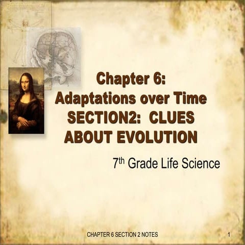 Chapter 6 section 2 (clues about evolution)