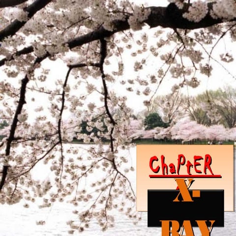Chapter 6 x ray