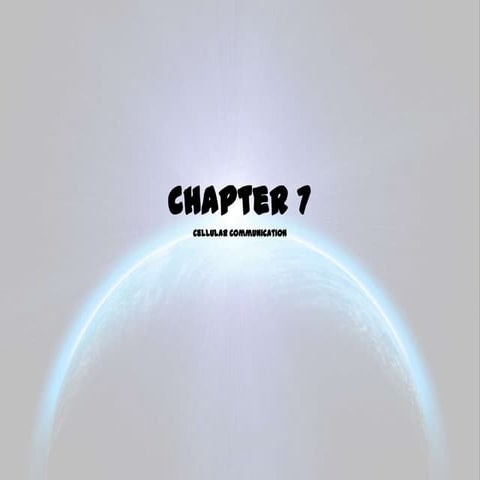 Chapter 7