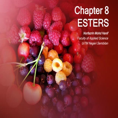 Chapter 7 ester