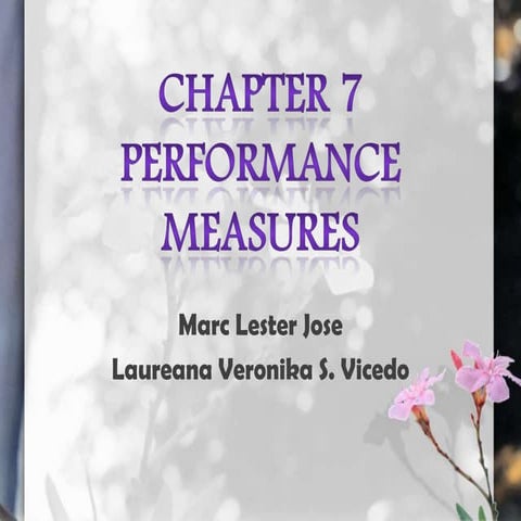 performance measures
