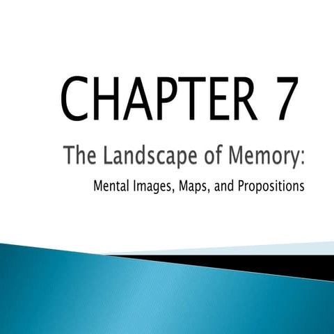 Chapter 7  the landscape of memory