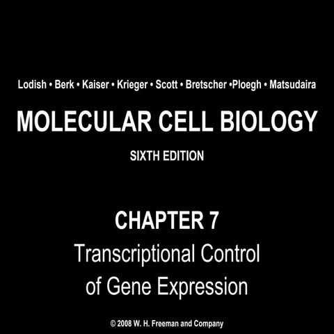 Molecular Cell Biology Lodish 6th.ppt - Chapter 7   transcriptional control o...