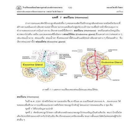 Hormone Pdf