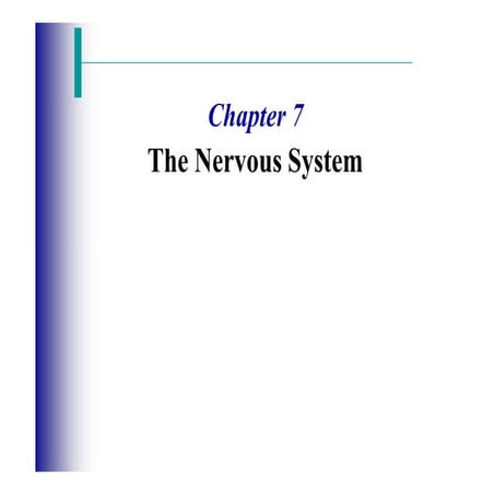 Chapter 7 jk converted