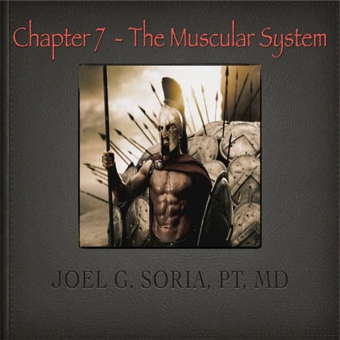 Chapter 7 muscular
