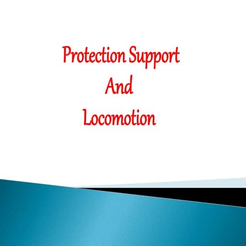Human Protection Support and Locomotion