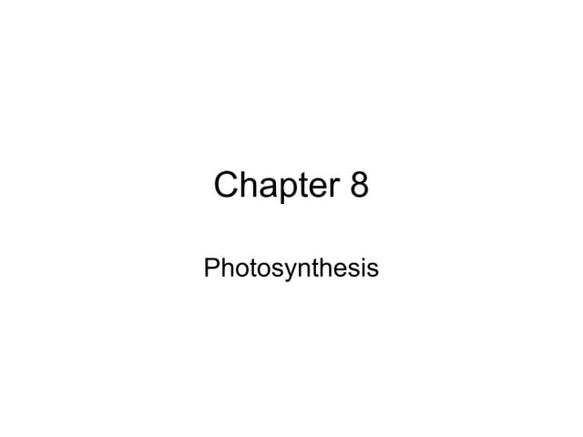 Chapter 8 | PPT