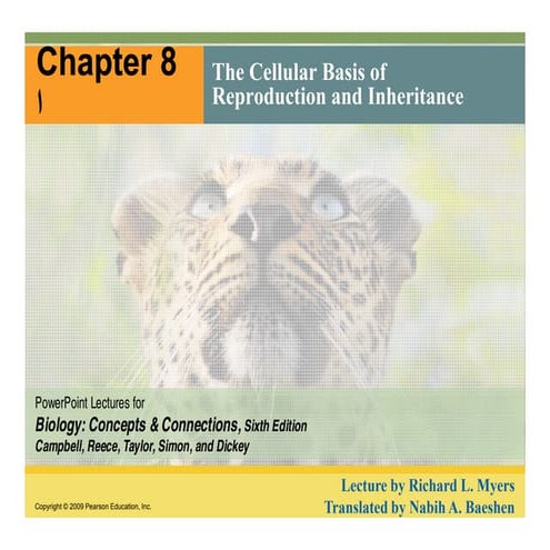 Chapter 8: Genetics  [compatibility mode]