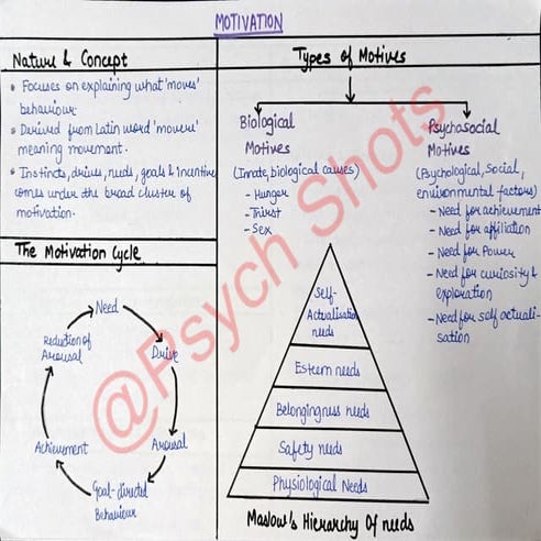 Chapter 8 Flow Chart _ Psych Shots_49152805_2025_12_08_18_06.pdf