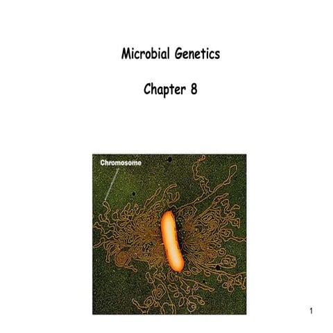 Chapter 8 microbial genetics | PPT