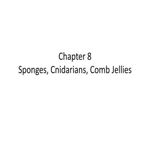 Chapter 8 porfera cnardarians