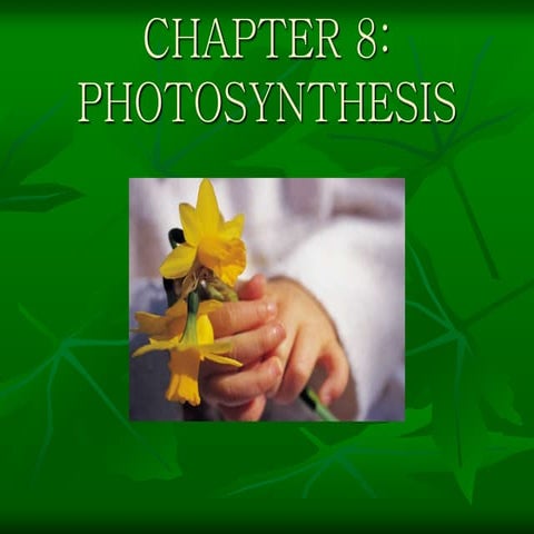 Chapter 8 power point | PPT