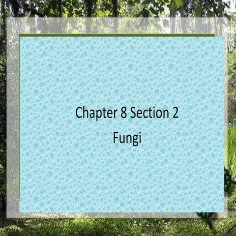 Chapter 8 section 2 (2011)