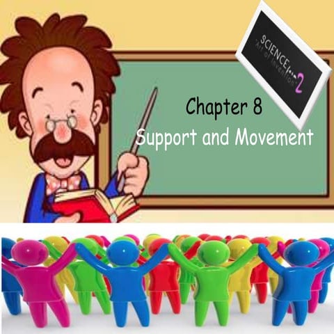 Chapter 8 support and movement