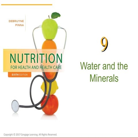 Chapter 9: Water and the Minerals | PPT