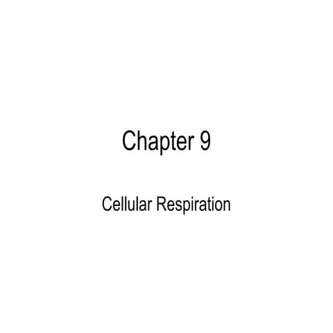Chapter 9