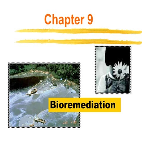 bioremediation and its role in environment