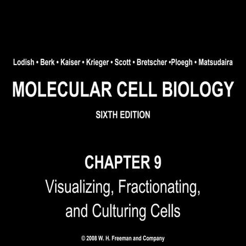 Chapter9 visualizingfractionatingandculturingcells-140105092245-phpapp01