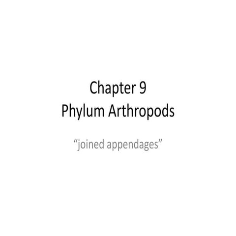 Chapter 9 arthropods