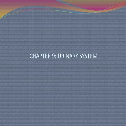 Chapter 9 powerpoint