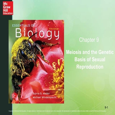 Chapter 9 Meiosis and the Genetic Basis of Sexual Reproduction