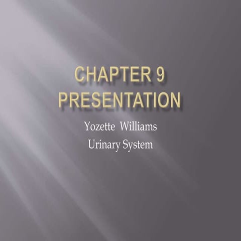Urinary system | KEY