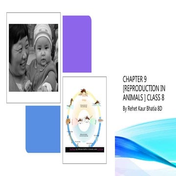 Reproduction in Animals class 8