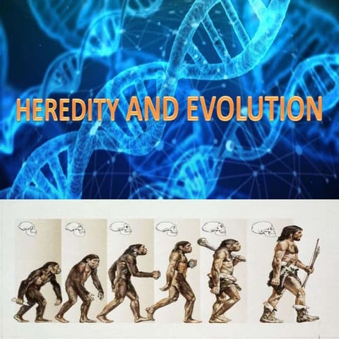 heredity and evolution