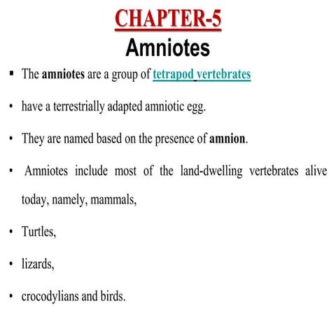 Chapter five  Aminots.ppt