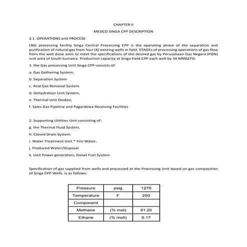 MEDCO SINGA CPP PROCESSING | PDF