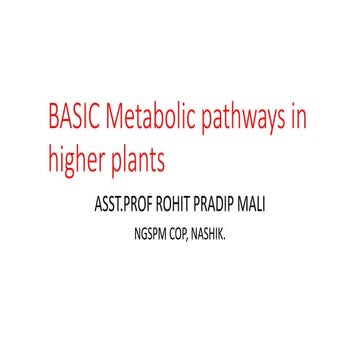 Basic metabolic pathways in higher plants 