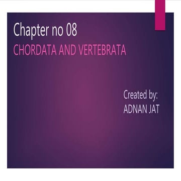 chordates chapter no 8 IX 