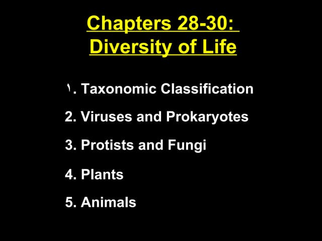 Chapters 28 30 | PPT